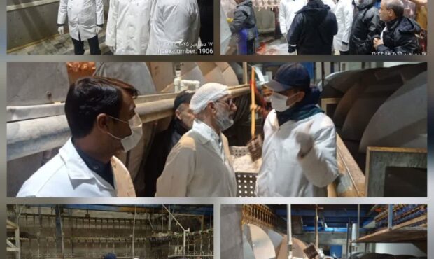 بازدید و نظارت از فرآیند کشتار