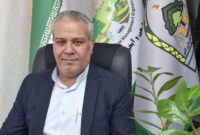 خشکسالی برداشت گیاهان دارویی را متوقف کرد