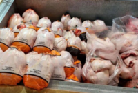 عرضه گسترده گوشت مرغ در استان سمنان