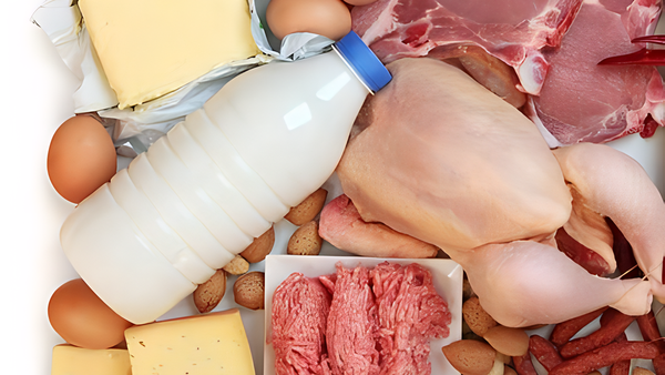 صادرات ۲۱/۷ میلیون دلاری فرآورده‌های دامی استان سمنان