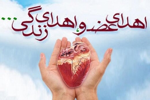 از دل یک وداع تلخ تا تولد دوباره سه زندگی؛ ایثار خانواده دامغانی در اهدای عضو کودک ۶ ساله