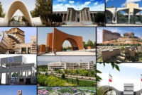 رتبه برترهای کنکور به کدام رشته و دانشگاه می‌روند؟